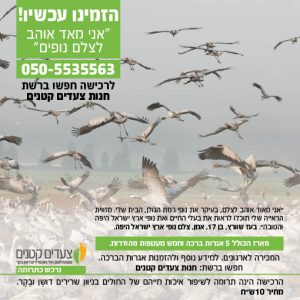 מארז אגרות ברכה לכל אירוע